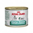 Royal Canin Starter Mousse 195g